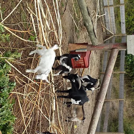 Toftum Bjerge & אתר קמפינג *