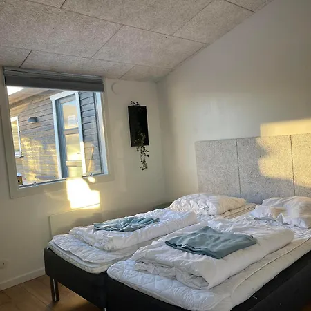 אתר קמפינג Toftum Bjerge & *