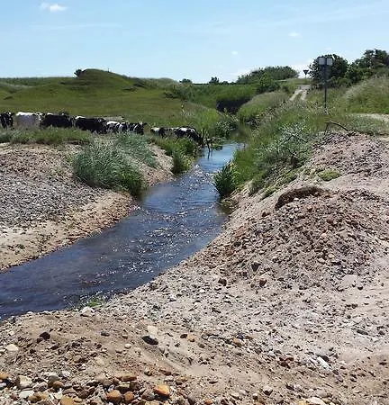 אתר קמפינג Toftum Bjerge &