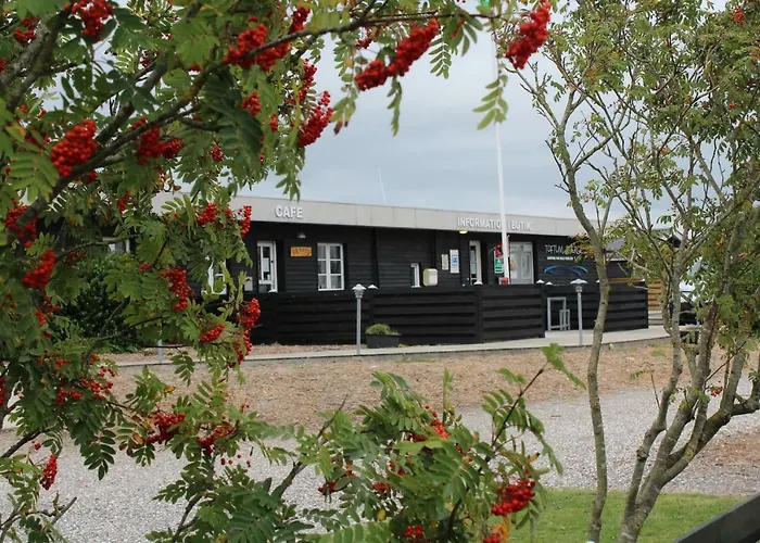 Camping Toftum Bjerge & Humlum